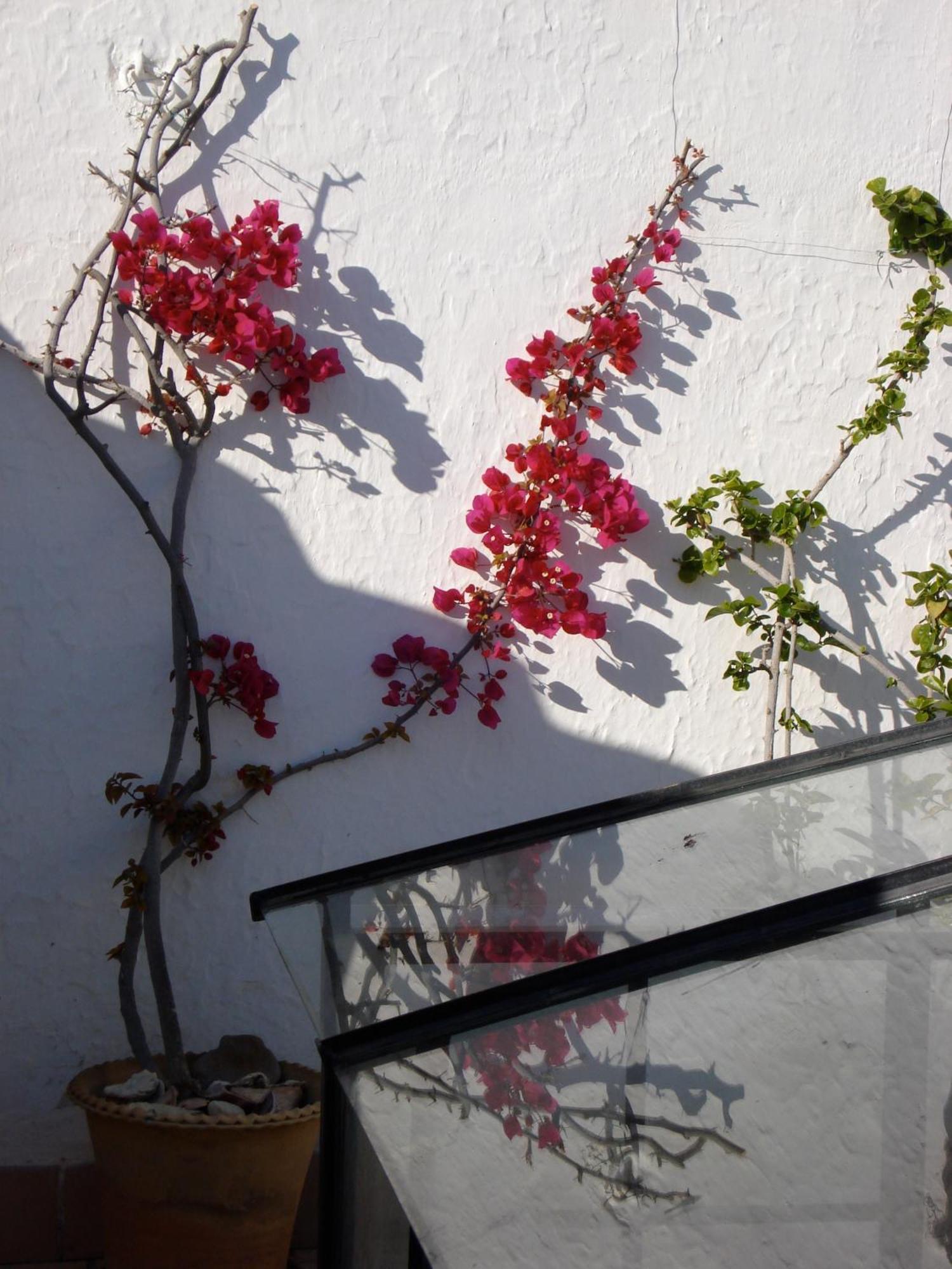 La Casa Grande Hotel Arcos de la Frontera Bagian luar foto